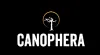 Canophera