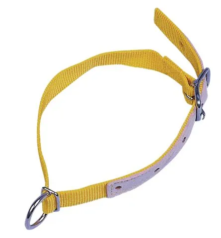 Halsriemen für Schafe und Ziegen