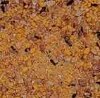 CéDé Eifutter Sittich 1 kg