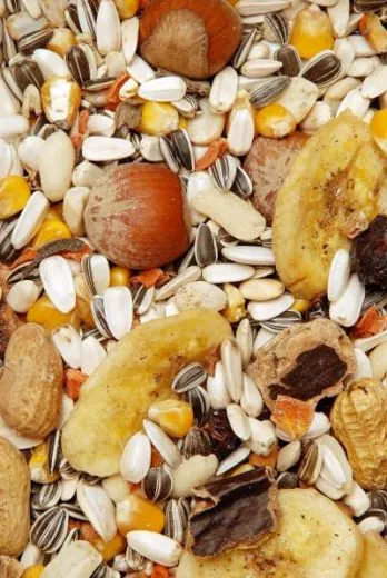 Eichhörnchenfutter GEVO 1000 g