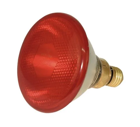 Infrarot-Sparlampe Kerbl 100 W