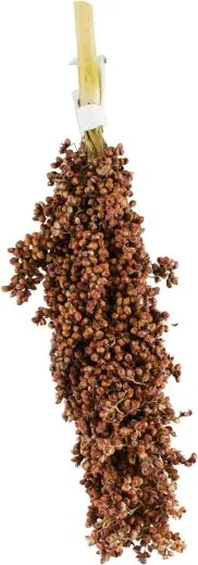 JR FARM Dari-Kolben 100 g