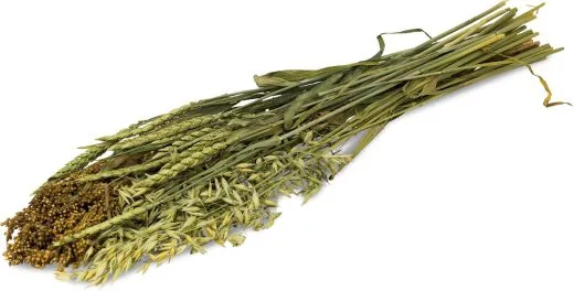 JR FARM Sommer-Ernte 80 g