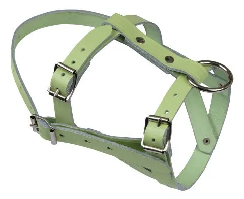 Kopfhalfter für Schafe und Böcke, Leder