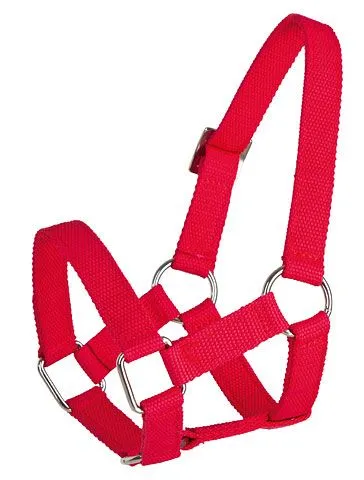 Kopfhalfter für Schafe und Böcke, Polypropylene rot