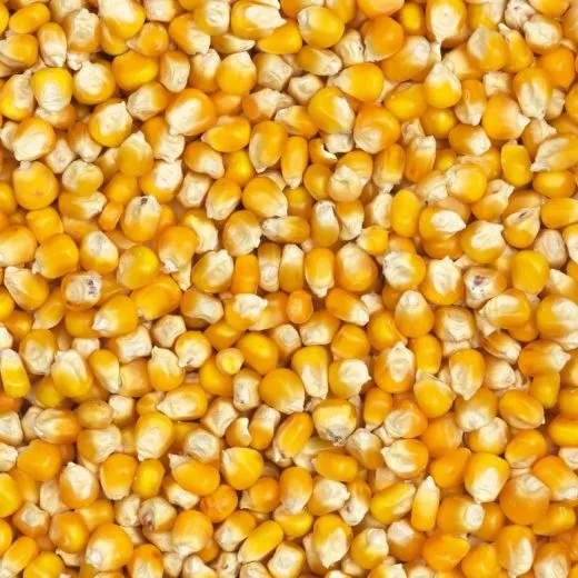 Country's Best Mais 4 kg