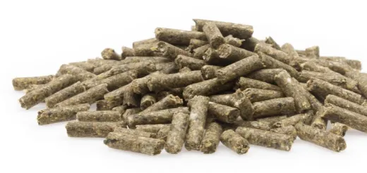 Mifuma Chinchilla Pellets 5 kg