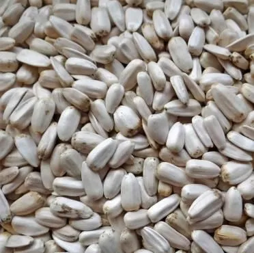 Sonnenblumenkerne weiss 1 kg