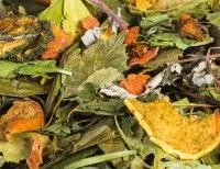 Gemüsegarten 100 g