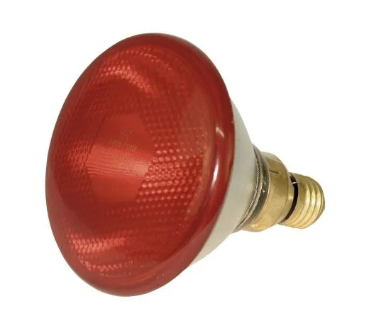 Infrarot-Sparlampe Kerbl 175 W