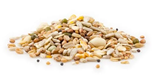 mifuma Wildvogel Terrassen-Mix 5 kg