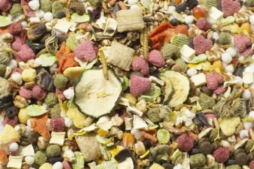 JR Farm Food Ratte 500 g