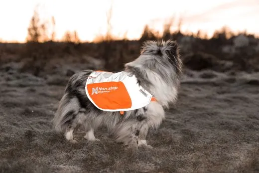 Reflective Vest