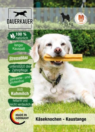 Dauerkauer Käseknochen M