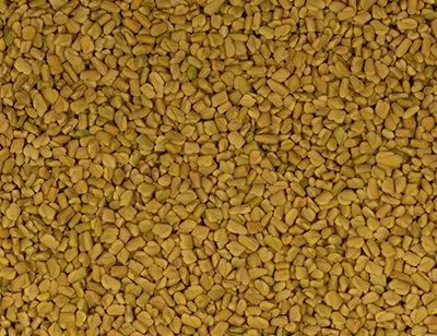 Bockshornkleesamen 500 g