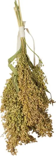JR FARM Rispenhirse 100 g