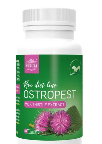 Pokusa Mariendistel Tabletten 120 Stück
