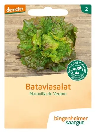 Bataviasalat Maravilla de Verano (DE-ÖKO-007)
