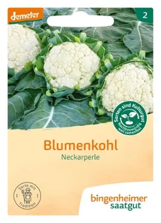 Blumenkohl Neckarperle (DE-ÖKO-007)