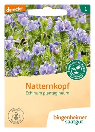 Natternkopf Echium plantagineum (DE-ÖKO-007)
