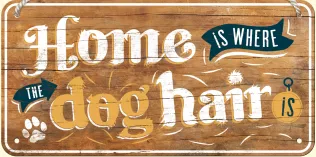 Home is where the dog hair is