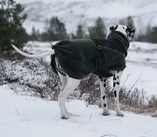 Wool dog jacket dark teal