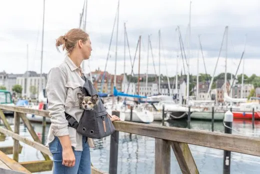 BE NORDIC Rucksack Bjorn