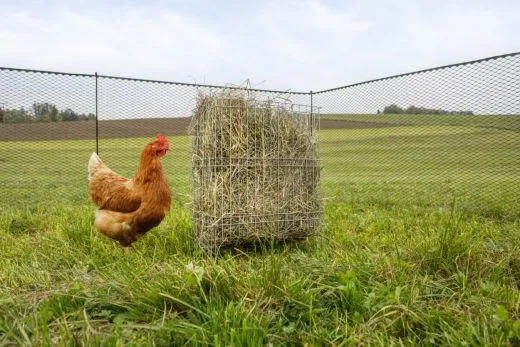 Kleintier-Raufe 36 x 24 x 50 cm