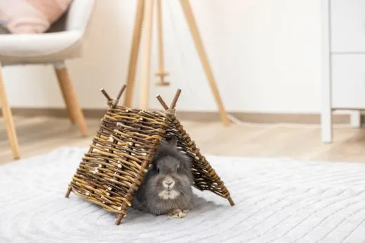 Tipi-Zelt Nature für Nager