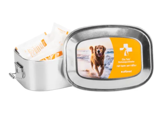 Dia Tab Reiseapotheke 20 x 5,5 g