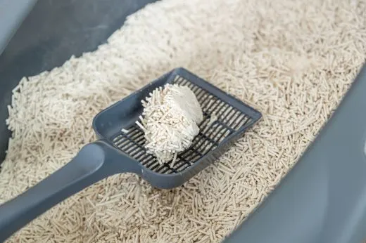 Tofu-Katzenstreu klumpend 2,5 kg