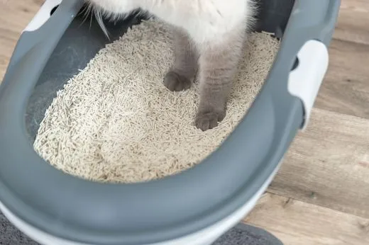 Tofu-Katzenstreu klumpend 4,5 kg