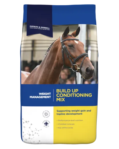 Dodson & Horrel Build Up Mix 20 kg