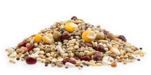 mifuma Power-Mix 25 kg