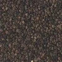 Buchweizen 500 g