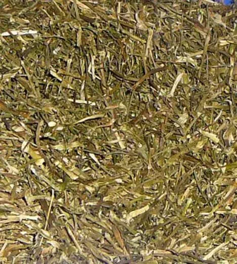Dill 100 g