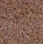 Grassamen 500 g