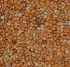 Marokko-Hirse 500 g