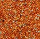 Rote Hirse 500 g