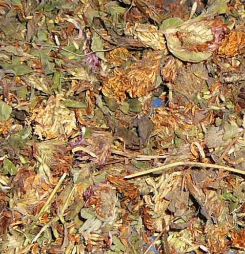 Rotkleeblüten 100 g