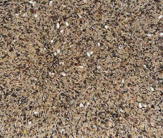 Waldvogelmischung basis 20 kg