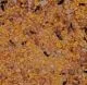 CéDé Eifutter Sittich 1 kg