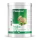 Röhnfried Pavifac Spezialbierhefe 700 g