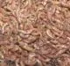 Gammarus 200 g