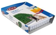 Katzengras Schale