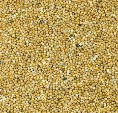 Silberhirse lose 500 g