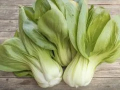 Pak Choi Yorokobi (DE-ÖKO-007)