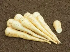 Pastinake Aromata (DE-ÖKO-007)
