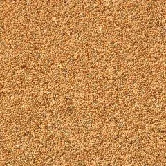 Wellensittich basis 1 kg