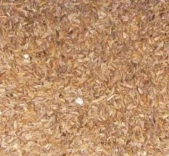 Fenchelsamen, ganz 500 g